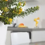بيت للعطل Plan-b Holidays *