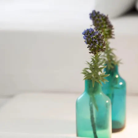 Vakantiehuis Plan-b Holidays