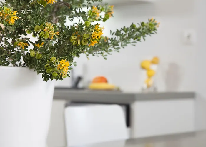 Vakantiehuis Plan-b Holidays *