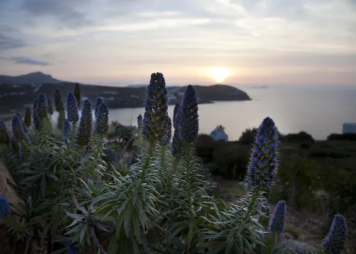 Vakantiehuis Plan-b Holidays Kalo Livadi