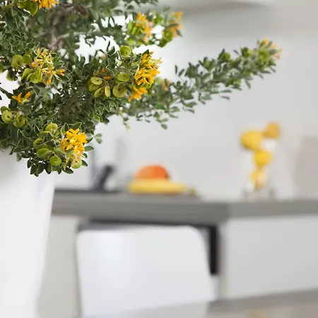 Tatil Evi Plan-b Holidays *