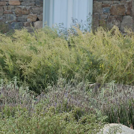 Tatil Evi Plan-b Holidays *