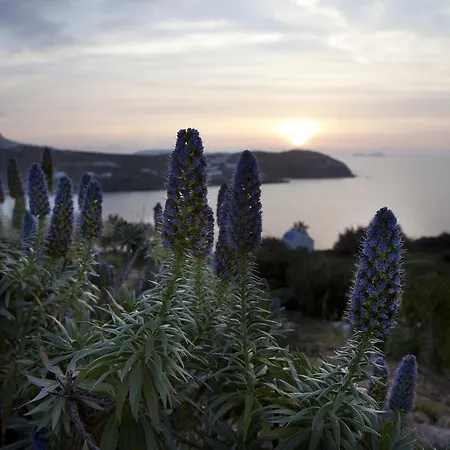Hébergement de vacances Plan-b Holidays Kalo Livadi