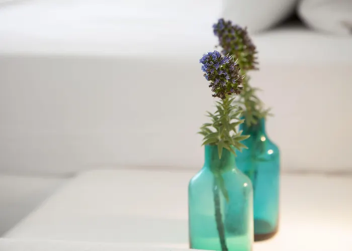 Дом отдыха Plan-b Holidays