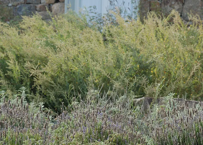 Tatil Evi Plan-b Holidays *